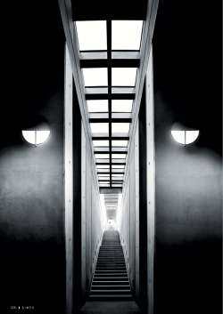 Family Catalogue PDF