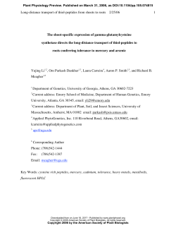 Long-distance transport of thiol-peptides from