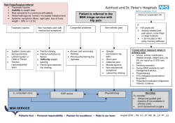 MSK SERVICE Patient is referred to the MSK triage service with Hip