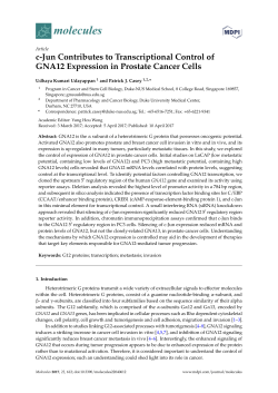 c-Jun Contributes to Transcriptional Control of GNA12 Expression in