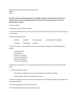 Meiosis Questions/ Illustrative Activity