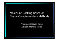 Molecular Docking based on Shape Complementary Methods