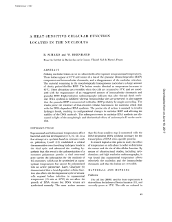 a heat-sensitive cellular function located in the nucleolus