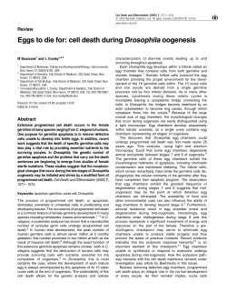 Eggs to die for: cell death during Drosophila oogenesis