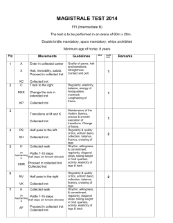 MAGISTRALE TEST 2014