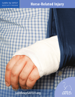 Horse-Related Injury - Scott County