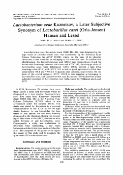 Lactobacterium zeae Kuznetsov, a Later Subjective Synonym of
