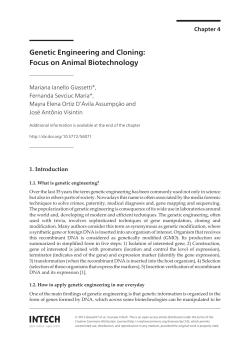 Genetic Engineering and Cloning: Focus on Animal