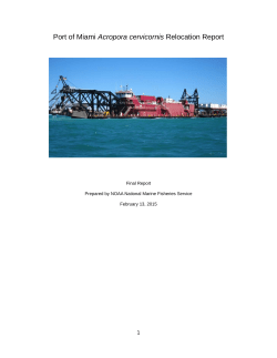 POM Acropora Relocation Report DRAFT.docx