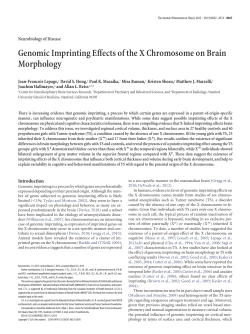 Genomic Imprinting Effects of the X Chromosome on Brain Morphology