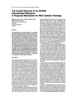 A Proposed Mechanism for RNA Catalytic