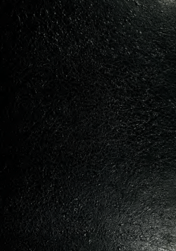 Is the price system or rationing more effective in getting a commodity