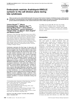 Endocytosis restricts Arabidopsis KNOLLE syntaxin to the cell