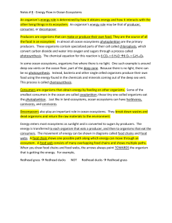 Notes # 8 - Energy Flow in Ocean Ecosystems An organism`s energy