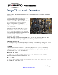 Exogas Endothermic Generator
