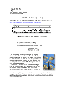 ii19sb (new version)