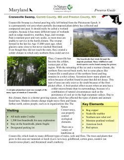 Cranesville Swamp - The Nature Conservancy