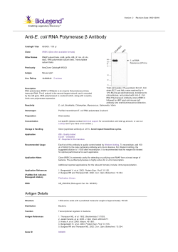Anti-E. coli RNA Polymerase &beta; Antibody