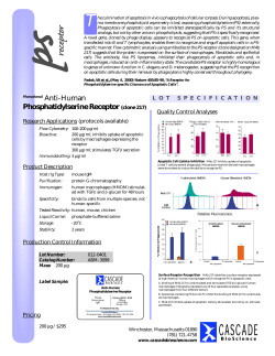 Phosphatidylserine Receptor (clone 217)
