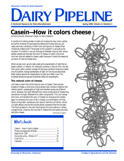 Casein&mdash;How it colors cheese