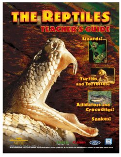 NATURE is produced for PBS by Thirteen/WNET New York.