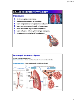 Ch. 12: Respiratory Physiology