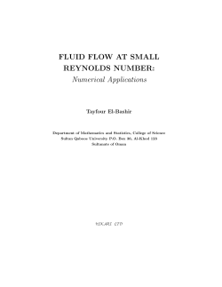 fluid flow at small reynolds number: numerical applications
