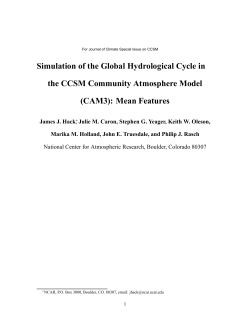 Simulation of the Global Hydrological Cycle in the CCSM