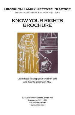 know your rights brochure