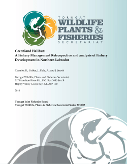 Greenland Halibut: A Fishery Management Retrospective
