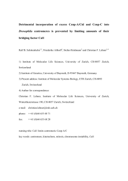 Detrimental incorporation of excess Cenp-A/Cid and Cenp