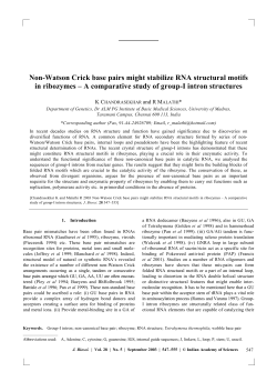 Non-Watson Crick base pairs might stabilize RNA structural motifs in