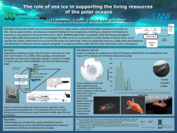 The role of sea ice in supporting the living resources of the