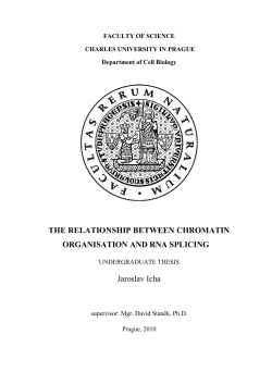 the relationship between chromatin organisation and rna splicing