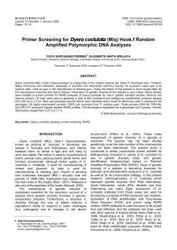 Primer Screening for Dyera costulata (Miq) Hook.f Random