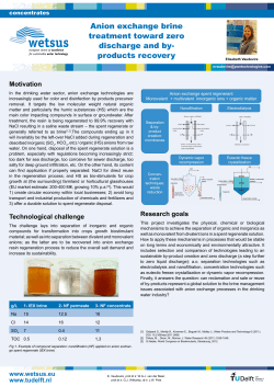 Anion exchange brine treatment toward zero discharge