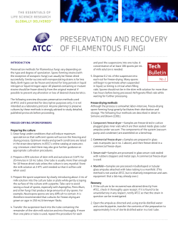 Preservation and recovery of filamentous fungi