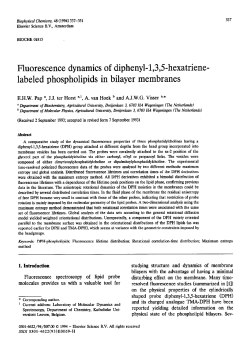 Fluorescence dynamics of diphenyl-1,3,5hexatriene