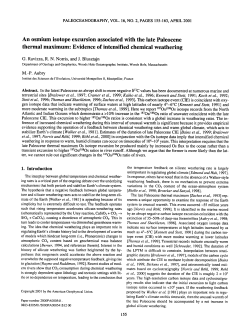 An osmium isotope excursion associated with the Late Paleocene