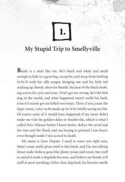 My Stupid Trip to Smellyville