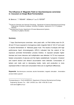 The Influence of Magnetic Field on Saccharomyces cerevisiae in