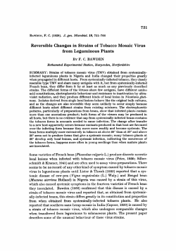 Reversible Changes in Strains of Tobacco Mosaic