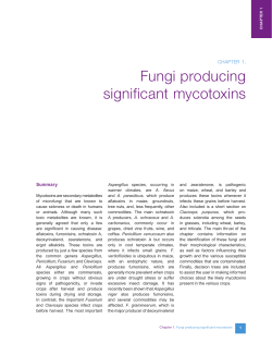 Fungi producing significant mycotoxins