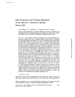 Basic Properties and Potential Regulators of the Apical K + Channel