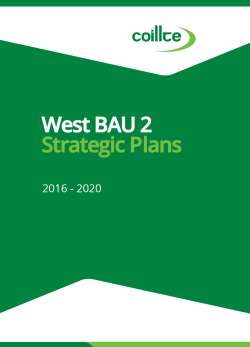 BAU 2 West Strategic Plan