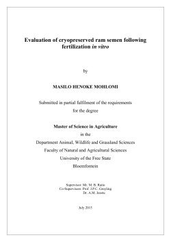 Evaluation of cryopreserved ram semen following fertilization in vitro