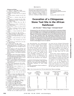 Excavation of a Chimpanzee Stone Tool Site in the African Rainforest