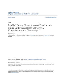 hcnABC Operon Transcription of Pseudomonas putida Under