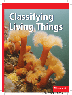Classifying Living Things