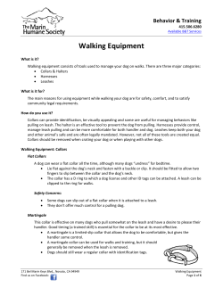 Walking Equipment - Marin Humane Society